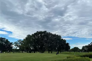 2009 Adair St, Ocoee, FL 34761 - Photo 31