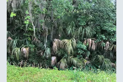 S Mellonville Avenue, Sanford, FL 32773 - Photo 5