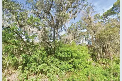 119 Temple Avenue, Crescent City, FL 32112 - Photo 1