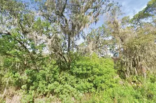 119 Temple Ave, Crescent City, FL 32112 - Photo 1