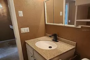 6124 Peregrine Ave, Orlando, FL 32819 - Photo 35