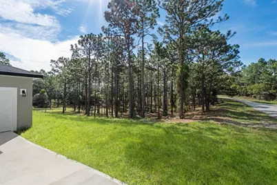 9371 N Cougar Paw Drive, Dunnellon, FL 34433 - Photo 5