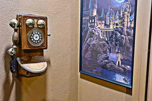 16100 Palm Frond Ave, Clermont, FL 34714 - Photo 13