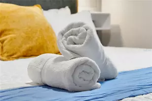 16100 Palm Frond Ave, Clermont, FL 34714 - Photo 49