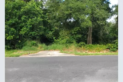 194 E 11th Street, Apopka, FL 32703 - Photo 1