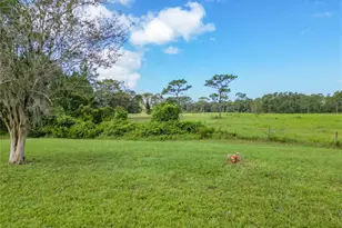 1743 Corner Meadow Cir, Orlando, FL 32820 - Photo 55