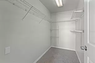 11045 Golden Silence Dr, Riverview, FL 33579 - Photo 19