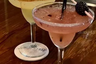 2920 On The Rocks Pt, Kissimmee, FL 34747 - Photo 45