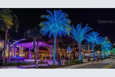 2920 On The Rocks Point, Kissimmee, FL 34747 - Photo 59