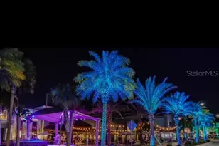 2920 On The Rocks Pt, Kissimmee, FL 34747 - Photo 59