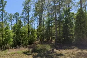 SE 5th Pl, Williston, FL 32696 - Photo 1