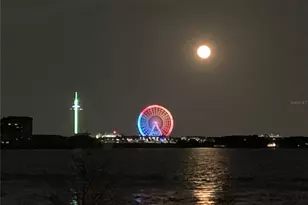 9245 Southern Breeze Dr, Orlando, FL 32836 - Photo 83