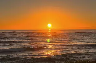 9245 Southern Breeze Dr, Orlando, FL 32836 - Photo 73