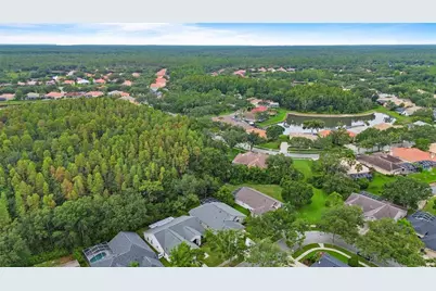 10217 Timberland Point Drive, Tampa, FL 33647 - Photo 9