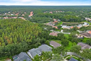 10217 Timberland Point Dr, Tampa, FL 33647 - Photo 9