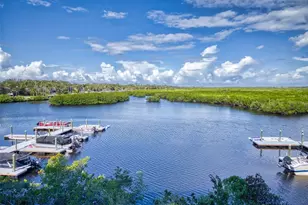 4 Riverwalk Dr, New Smyrna Beach, FL 32169 - Photo 43