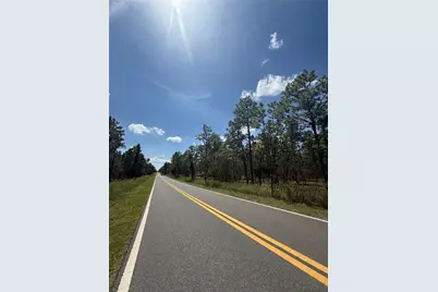 Nw Ridgewood Road, Dunnellon, FL 34431 - Photo 3