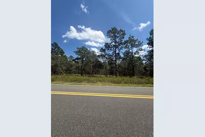 Nw Ridgewood Road, Dunnellon, FL 34431 - Photo 5