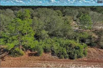 1514 Poinsettia Avenue, Lehigh Acres, FL 33972 - Photo 3