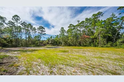 52215 State Road 19, Altoona, FL 32702 - Photo 15