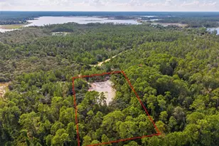 52215 State Road 19, Altoona, FL 32702 - Photo 1