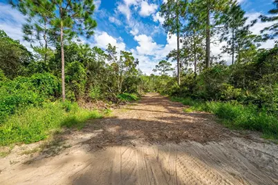 52215 State Road 19, Altoona, FL 32702 - Photo 9