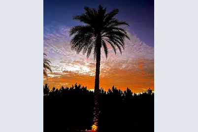 305 Arnold Palmer Drive, Davenport, FL 33837 - Photo 47