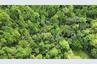 Pine Tree Drive, Eustis, FL 32726 - Photo 7