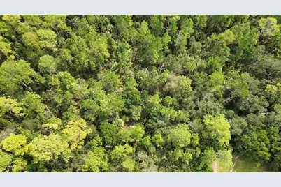 Pine Tree Drive, Eustis, FL 32726 - Photo 9