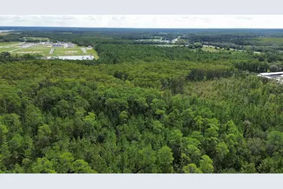 Pine Tree Drive, Eustis, FL 32726 - Photo 5