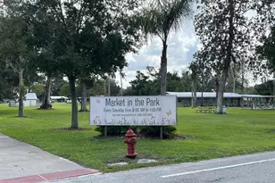 261 N Lakeview Dr, Lake Helen, FL 32744 - Photo 45