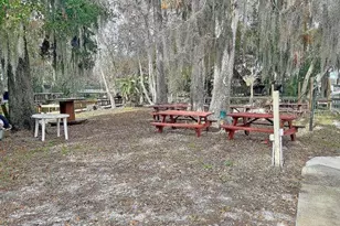 4 Palm Pl, Tavares, FL 32778 - Photo 21