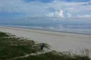 4453 S Atlantic Ave, Ponce Inlet, FL 32127 - Photo 1