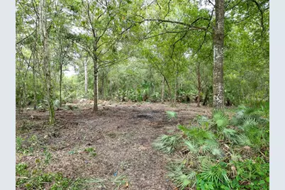 2039 N 6th St, Orlando, FL 32820 - Photo 5