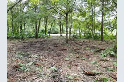 2039 N 6th St, Orlando, FL 32820 - Photo 7