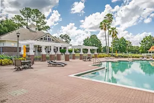 8402 Lake Burden Cir, Windermere, FL 34786 - Photo 47