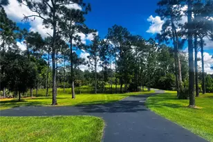 2224 Eldorado Ct, Saint Cloud, FL 34771 - Photo 3