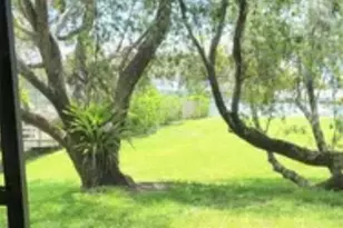 625 Duchess Blvd, Dunedin, FL 34698 - Photo 43