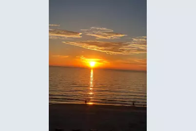 625 Duchess Boulevard, Dunedin, FL 34698 - Photo 57