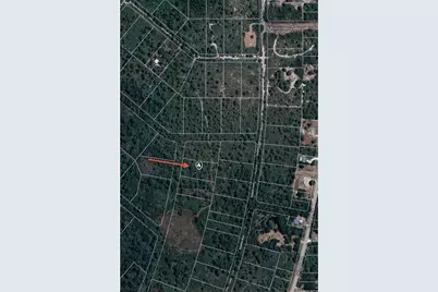 745 Marlin Street, Lake Placid, FL 33852 - Photo 5