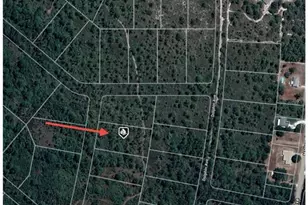 745 Marlin St, Lake Placid, FL 33852 - Photo 5