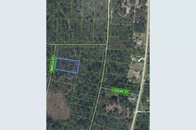 745 Marlin Street, Lake Placid, FL 33852 - Photo 3