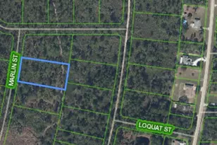 745 Marlin St, Lake Placid, FL 33852 - Photo 3