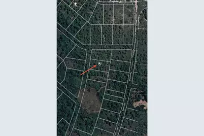 745 Marlin Street, Lake Placid, FL 33852 - Photo 7