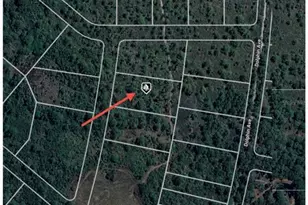 745 Marlin St, Lake Placid, FL 33852 - Photo 7