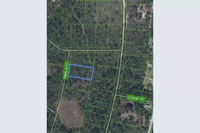 745 Marlin Street, Lake Placid, FL 33852 - Photo 9