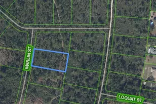 745 Marlin St, Lake Placid, FL 33852 - Photo 9