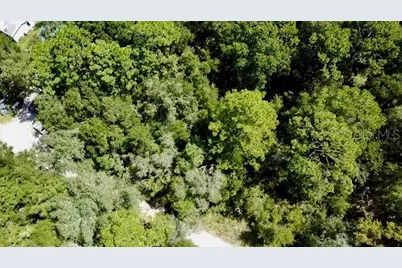 0 NE 138th Terrace, Williston, FL 32696 - Photo 3