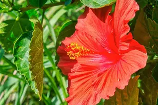 6353 River Rd, New Smyrna Beach, FL 32169 - Photo 43