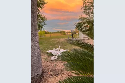 14520 Lost Lake Road, Clermont, FL 34711 - Photo 47